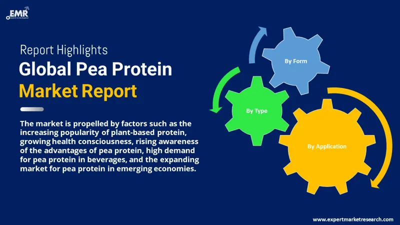 Pea Protein Market By Segments