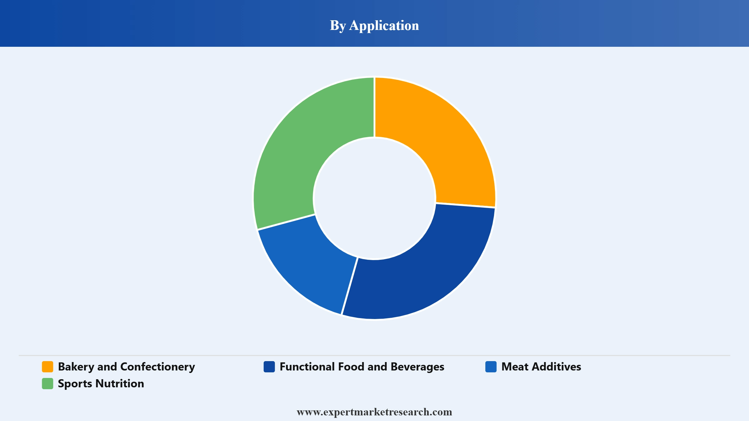 Pea Protein Market Segment Application