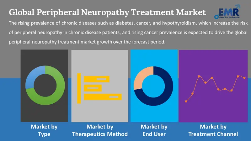 peripheral neuropathy treatment market by segments