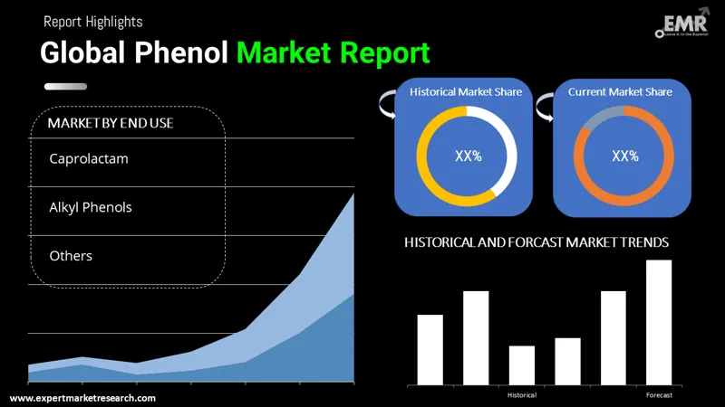 Phenol Market by Segments