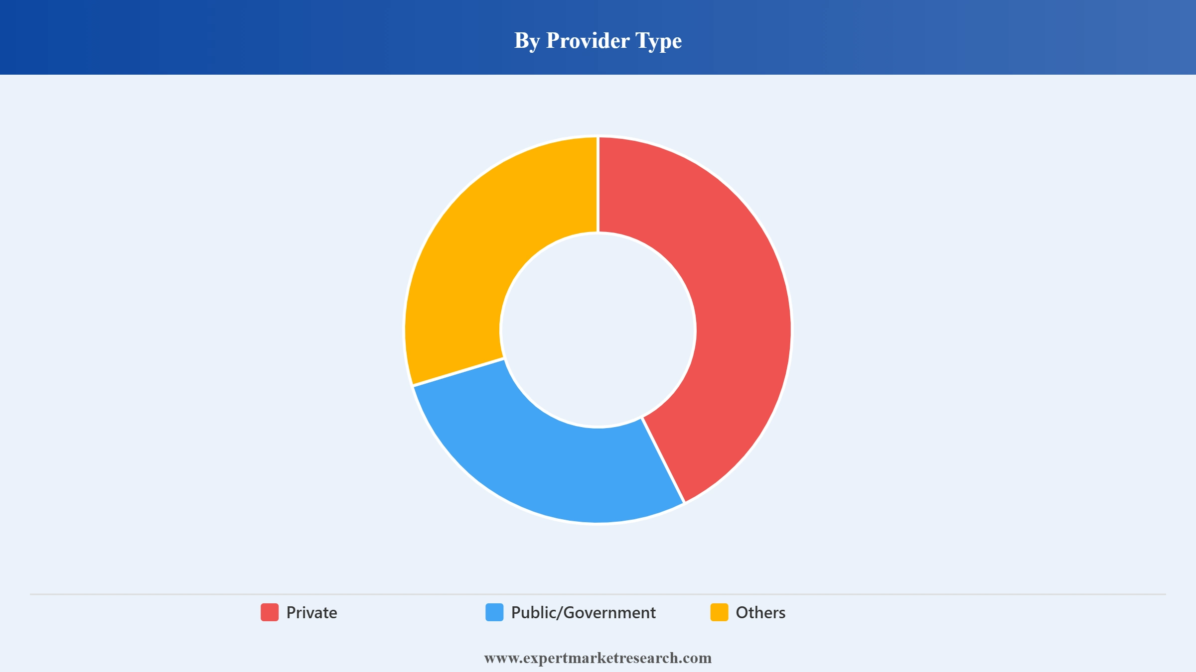Philippines Health Insurance Market Segment Provider Type