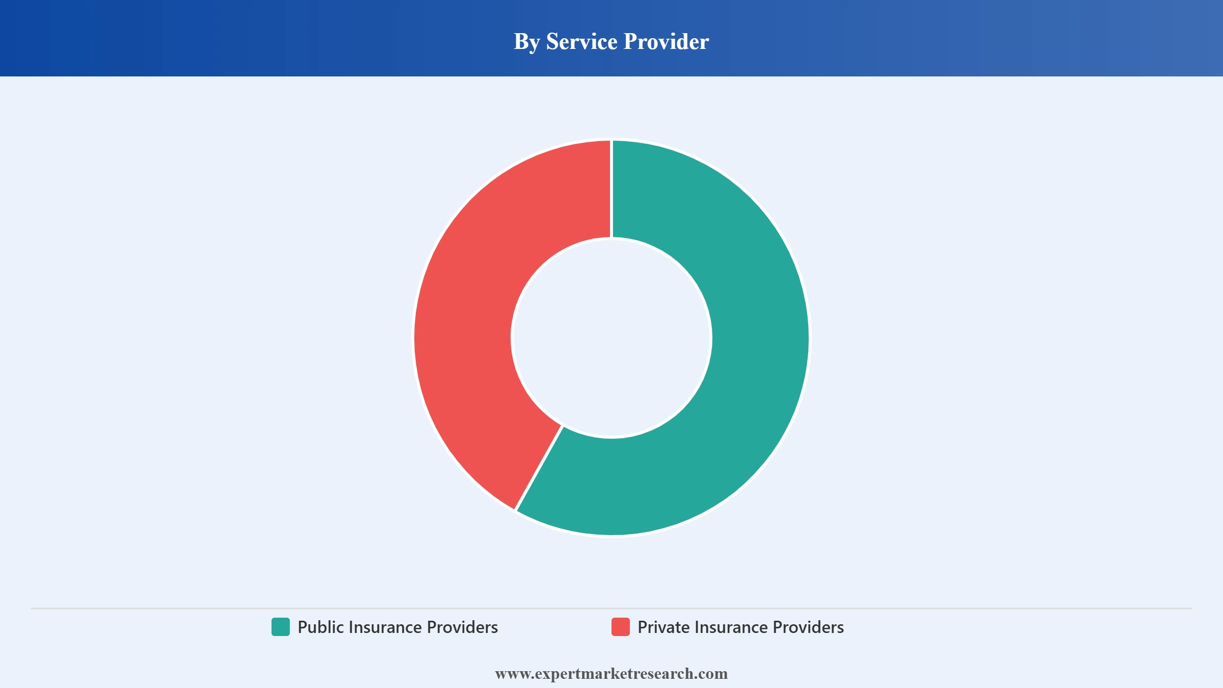 Philippines Non-Life Insurance Market Segment Service Provider