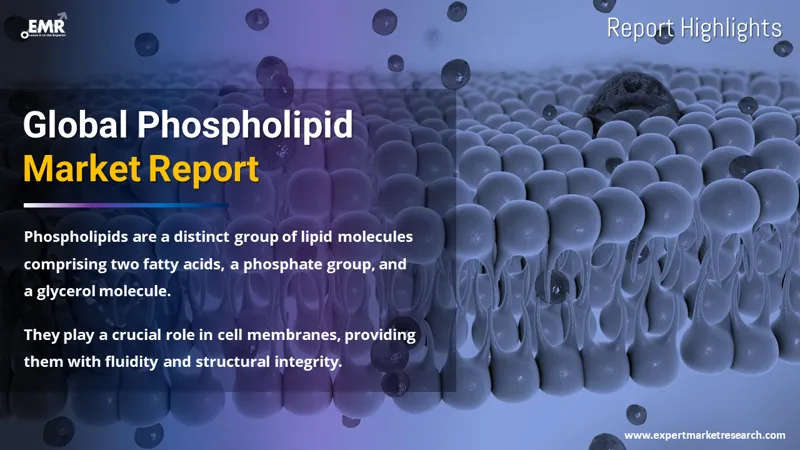 Global Phospholipid Market