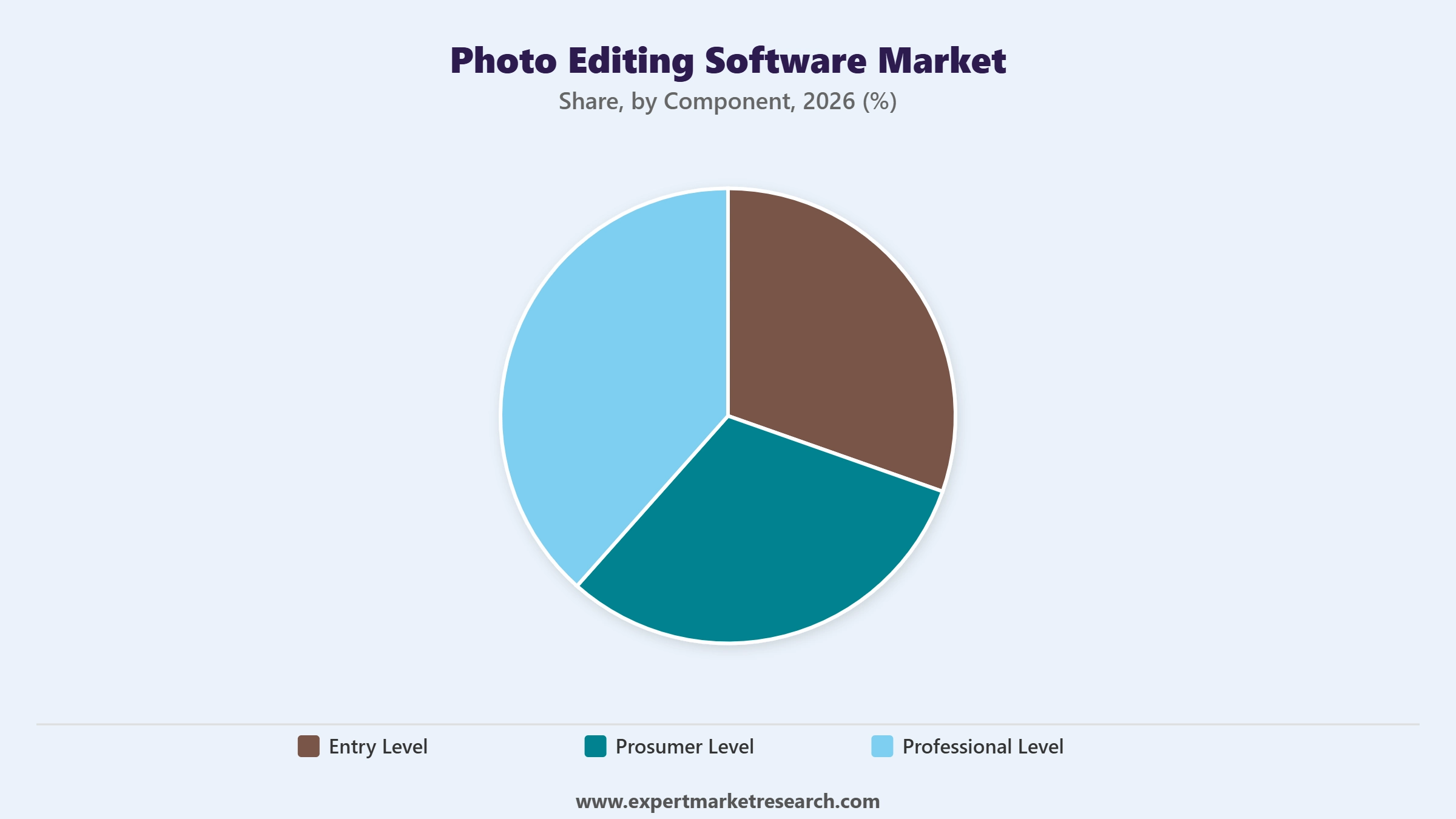Photo Editing Software Market Segment Component