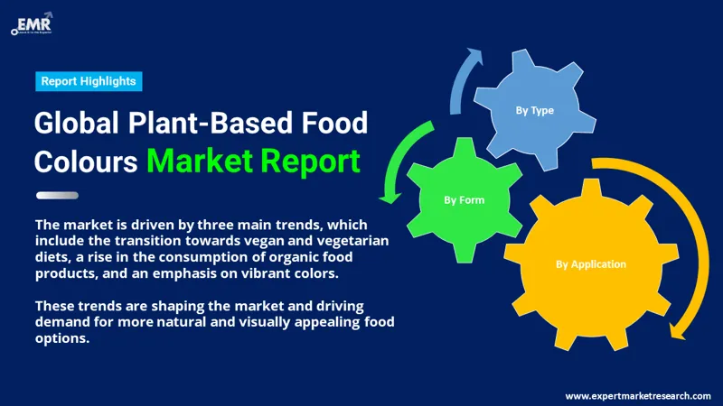 plant based food colours market by segments