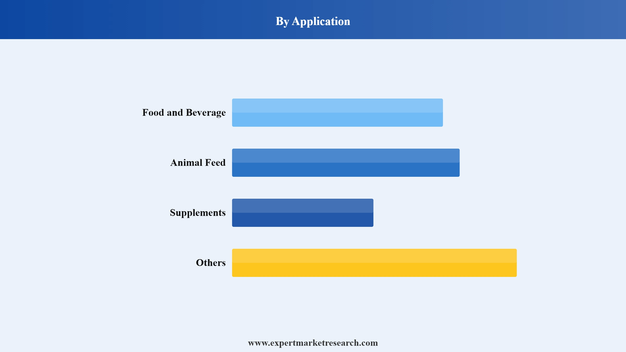 Plant Protein Market Segment Application