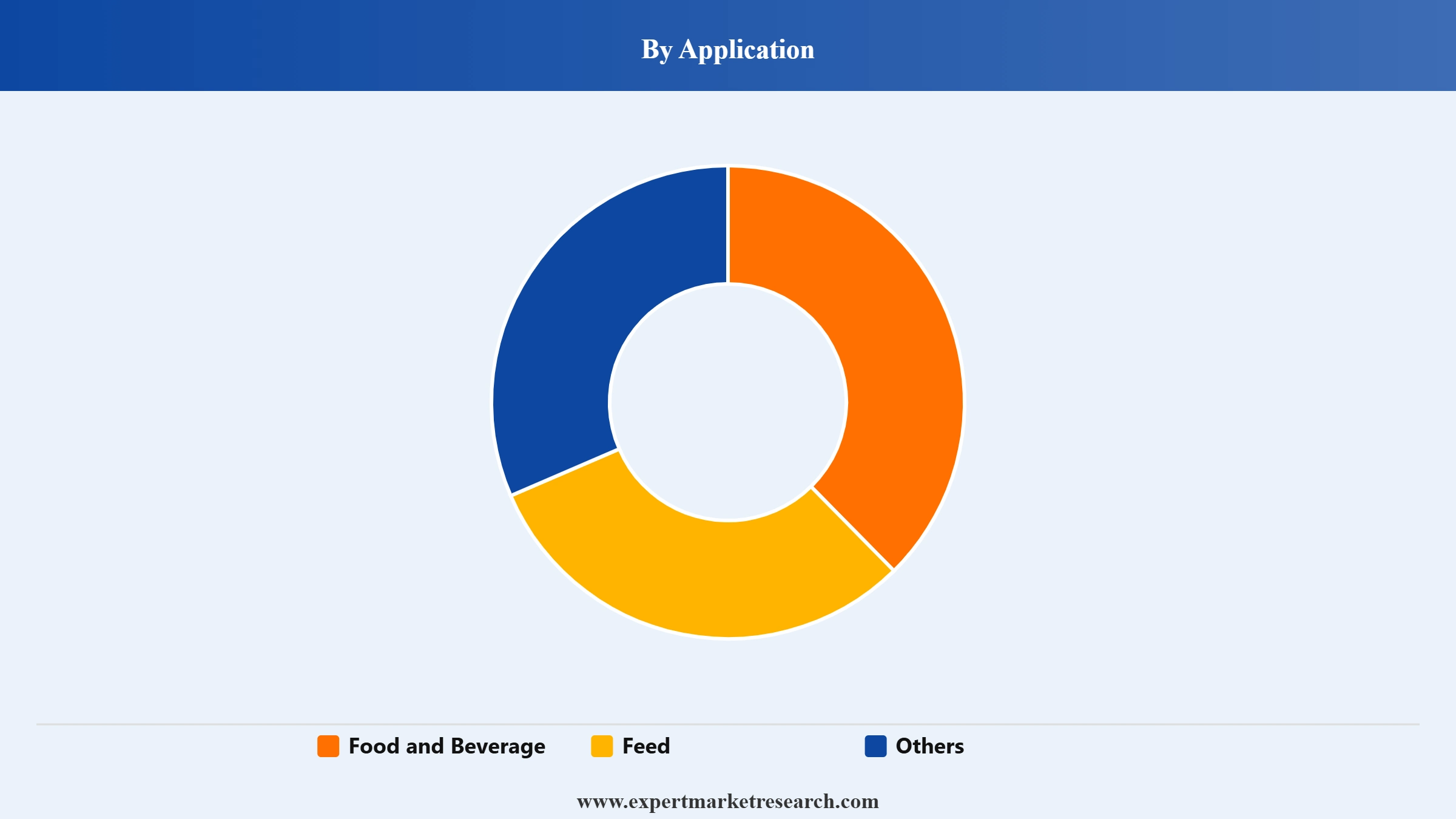 Plantain Flour Market Segment Application