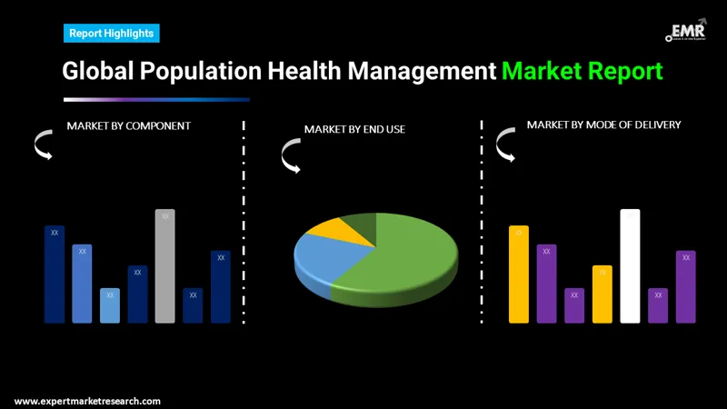 population health management market by segments