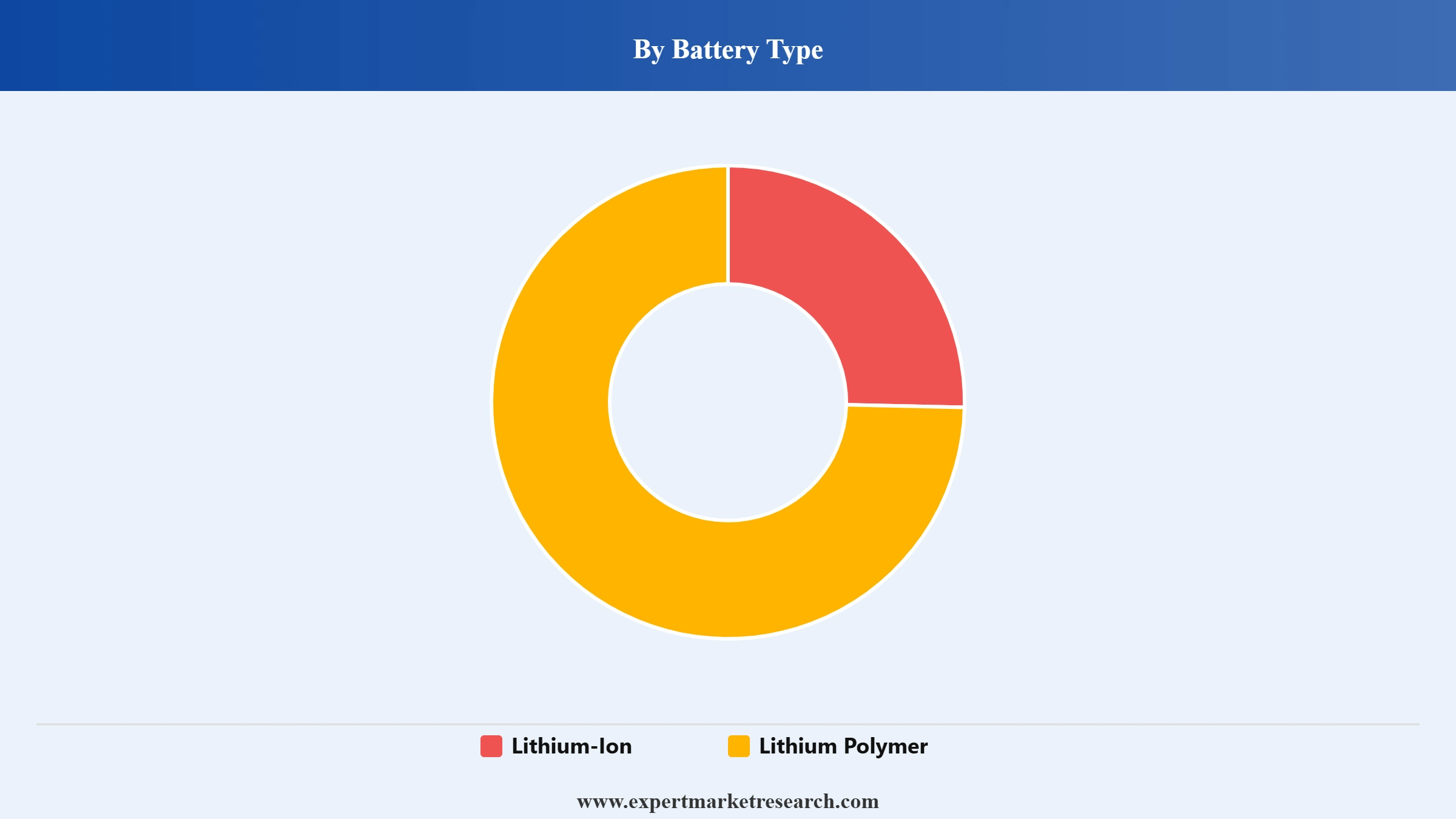 Power Bank Market Segment Battery Type
