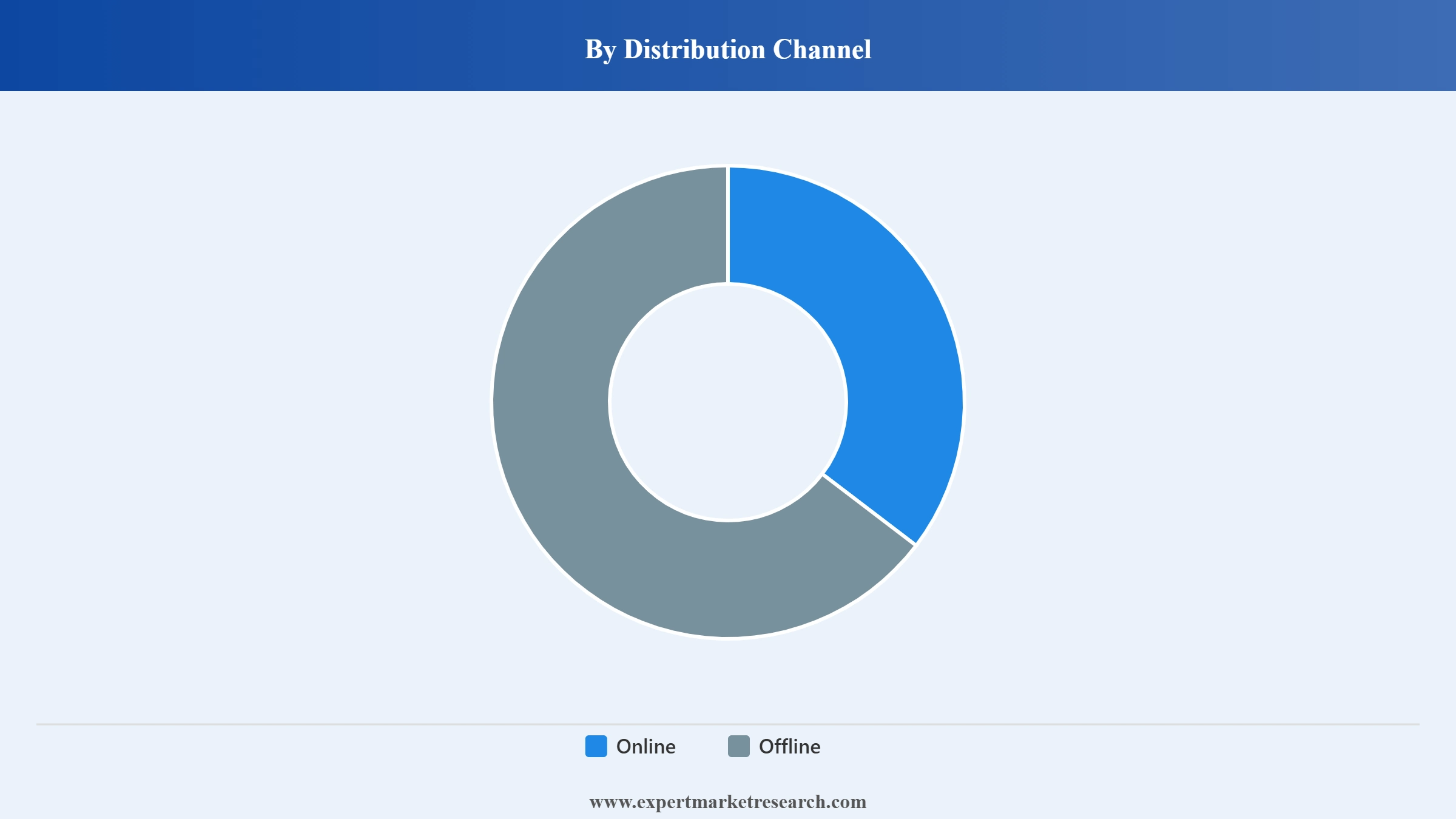 Pressure Washer Market Segment Distribution Channel