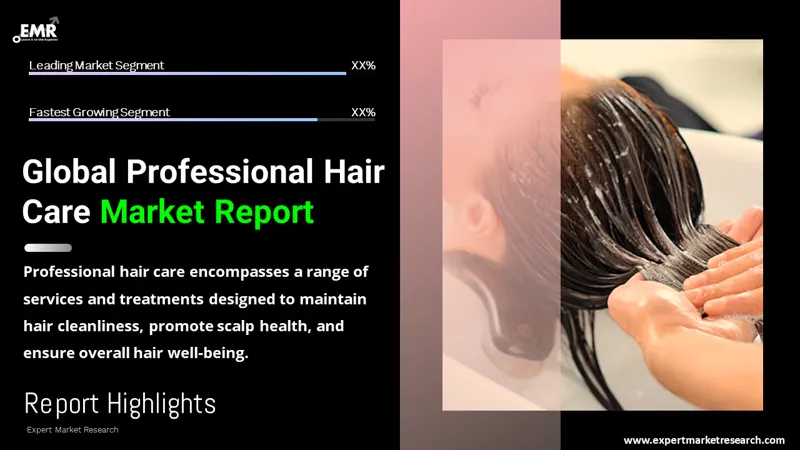 Global Professional Hair Care Market