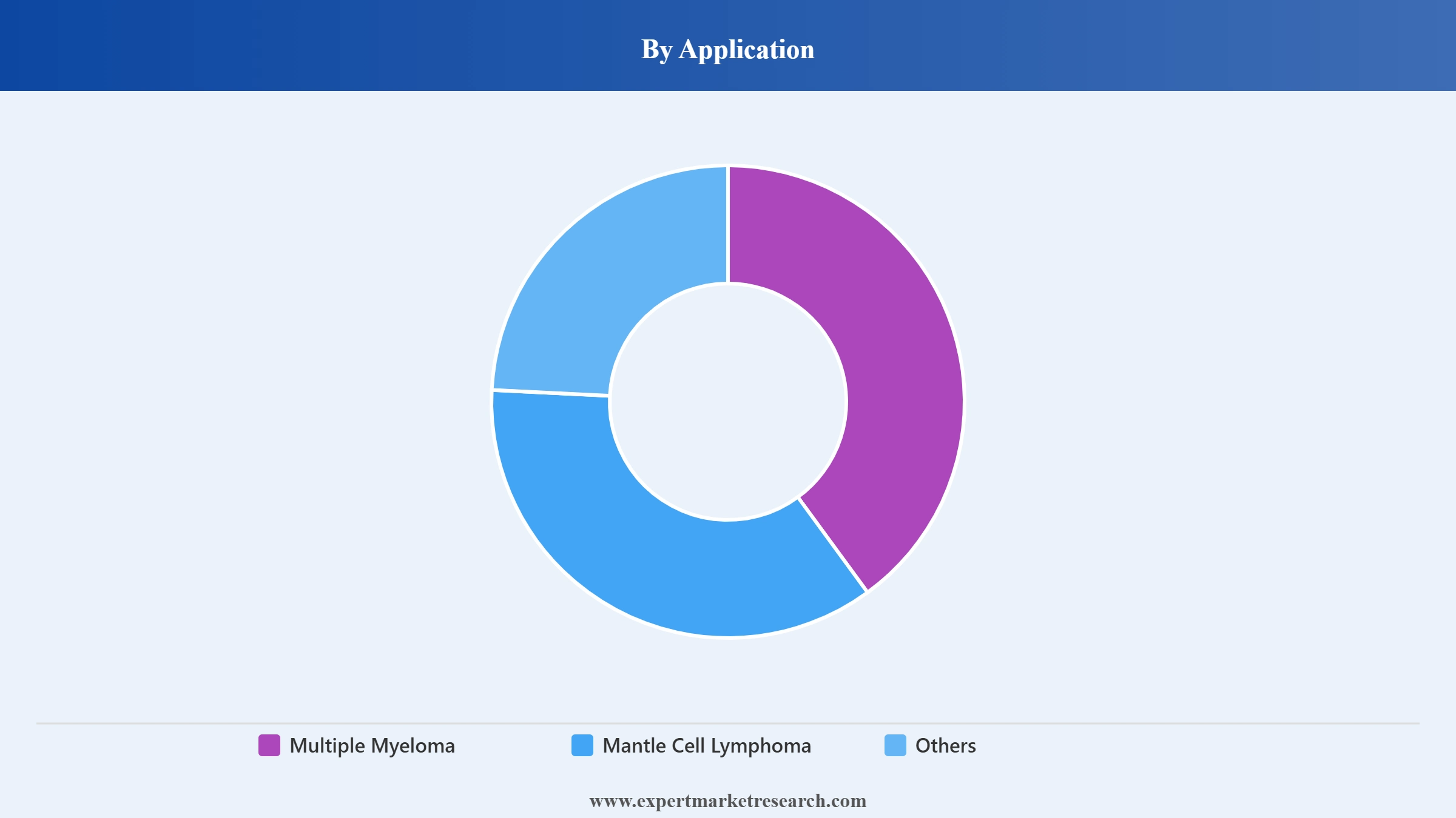 Proteasome Inhibitors Market Segment Application