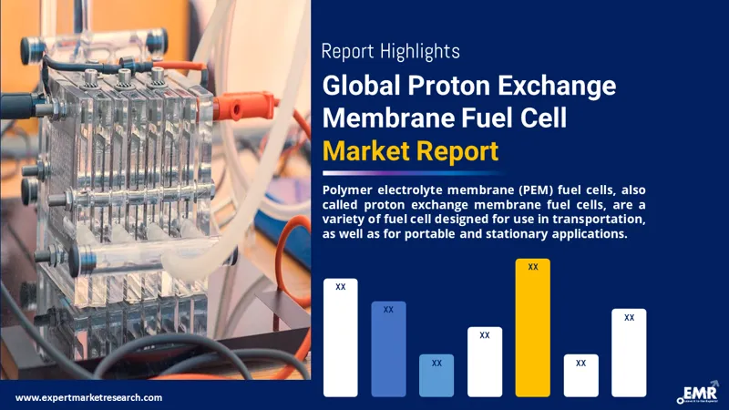 proton exchange membrane fuel cell market