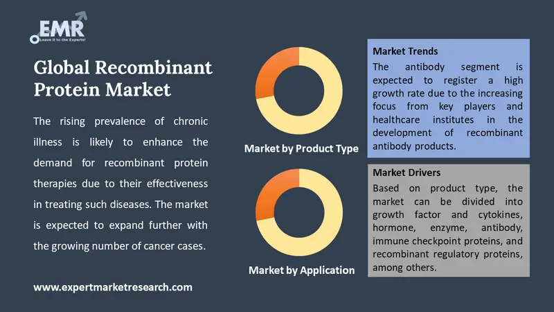 recombinant protein market by segments