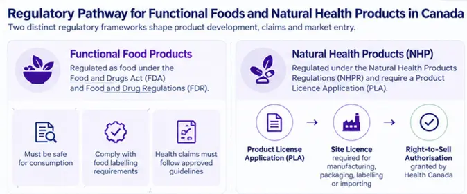 Regulatory Pathway for Functional Foods and Natural Health Products in Canada