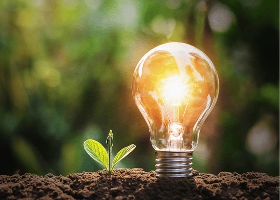 Renewable Chemicals From Forestry By Products