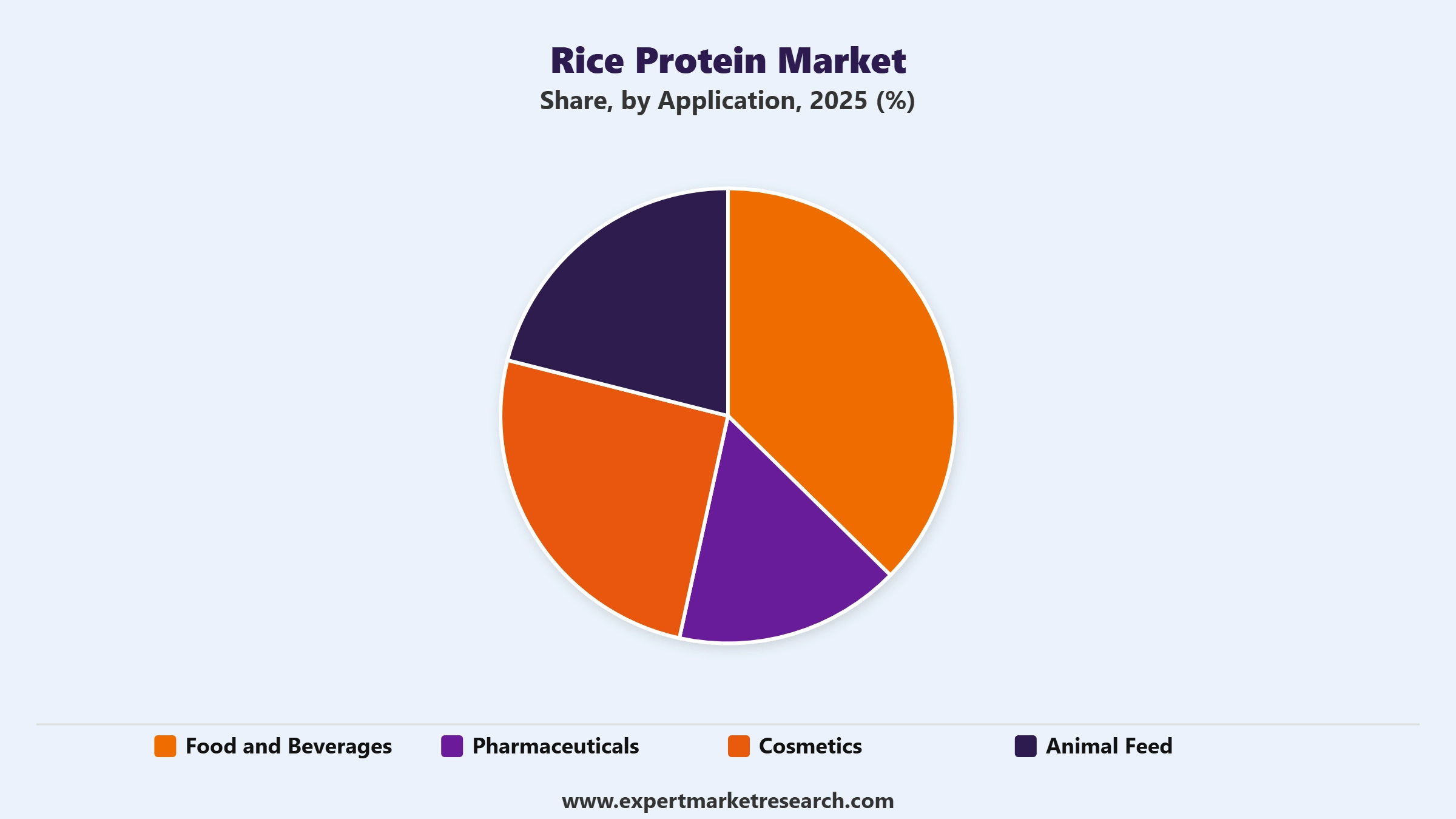 Rice Protein Market Segment Application