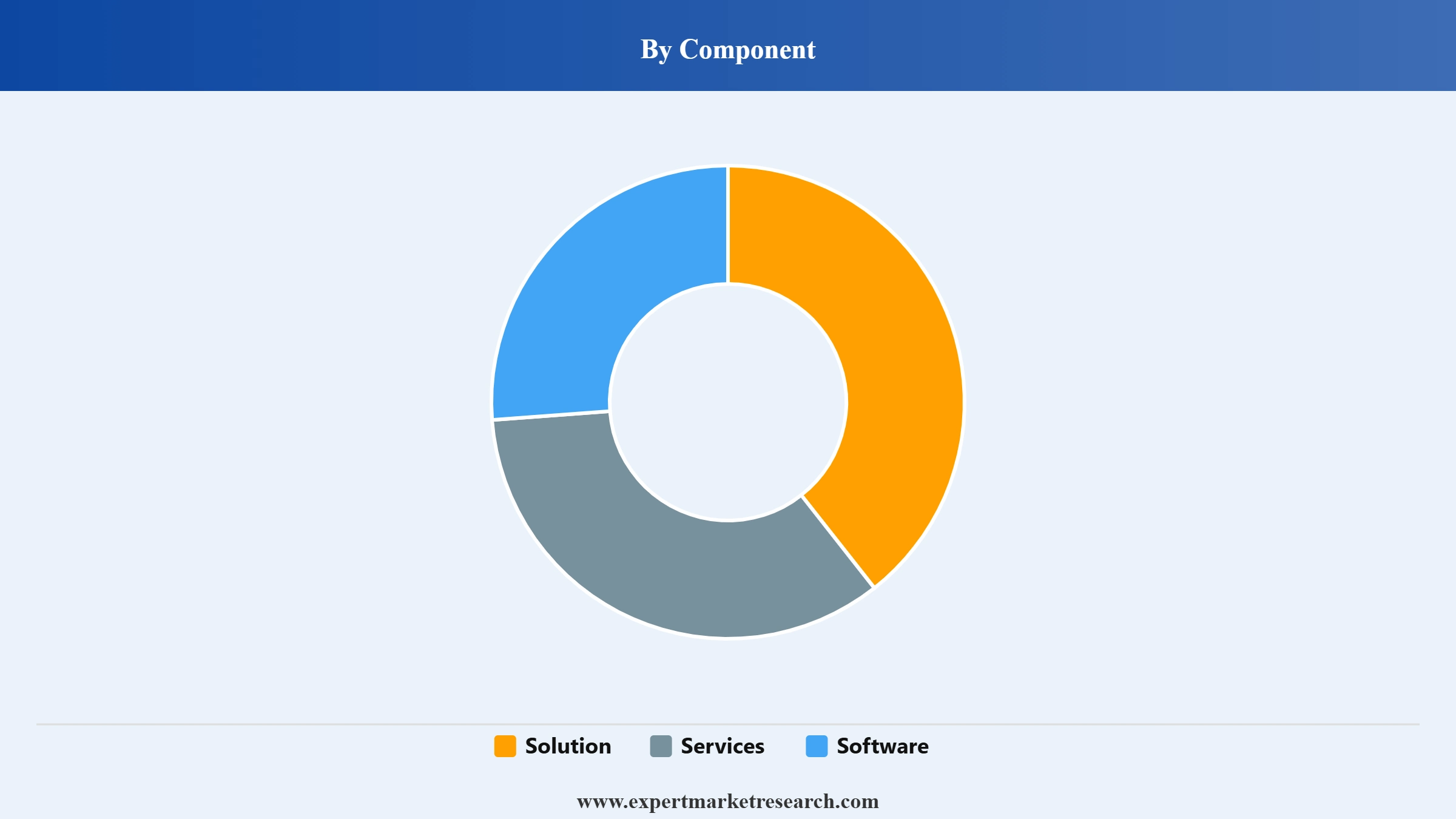 Risk Analytics Market Segment Component