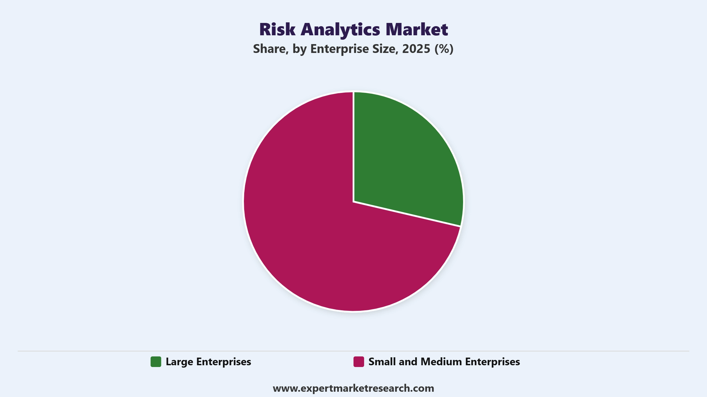 Risk Analytics Market Segment Enterprise Size