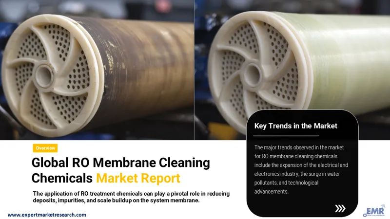 ro membrane cleaning chemicals market