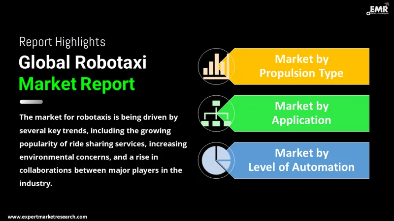 robotaxi market by segments