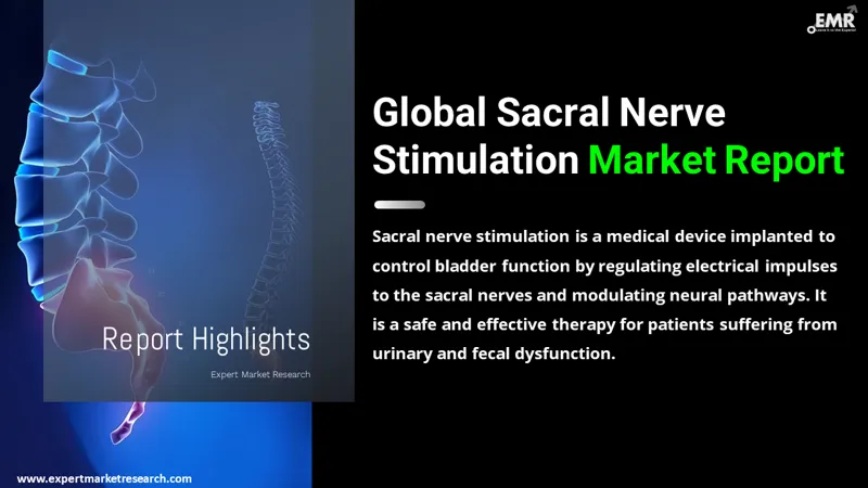 Sacral Nerve Stimulation Market