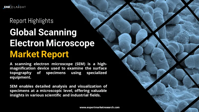 Global Scanning Electron Microscope Market