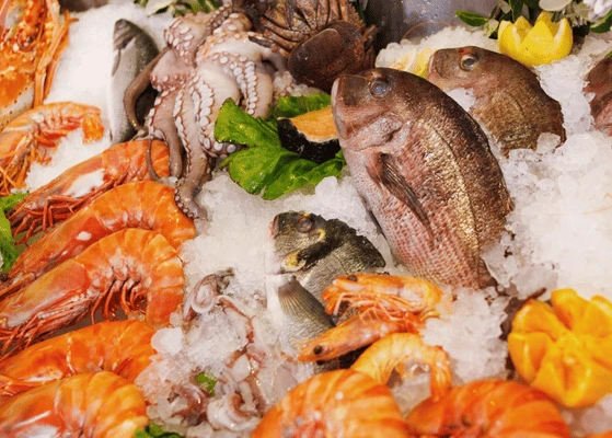 Seafood Export Potential India
