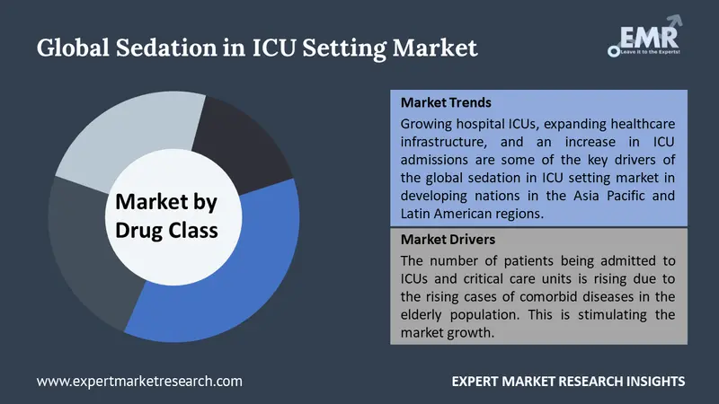 sedation in icu setting market by segments