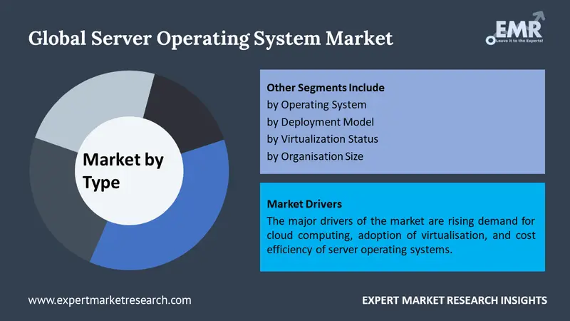 server operating system market by segments