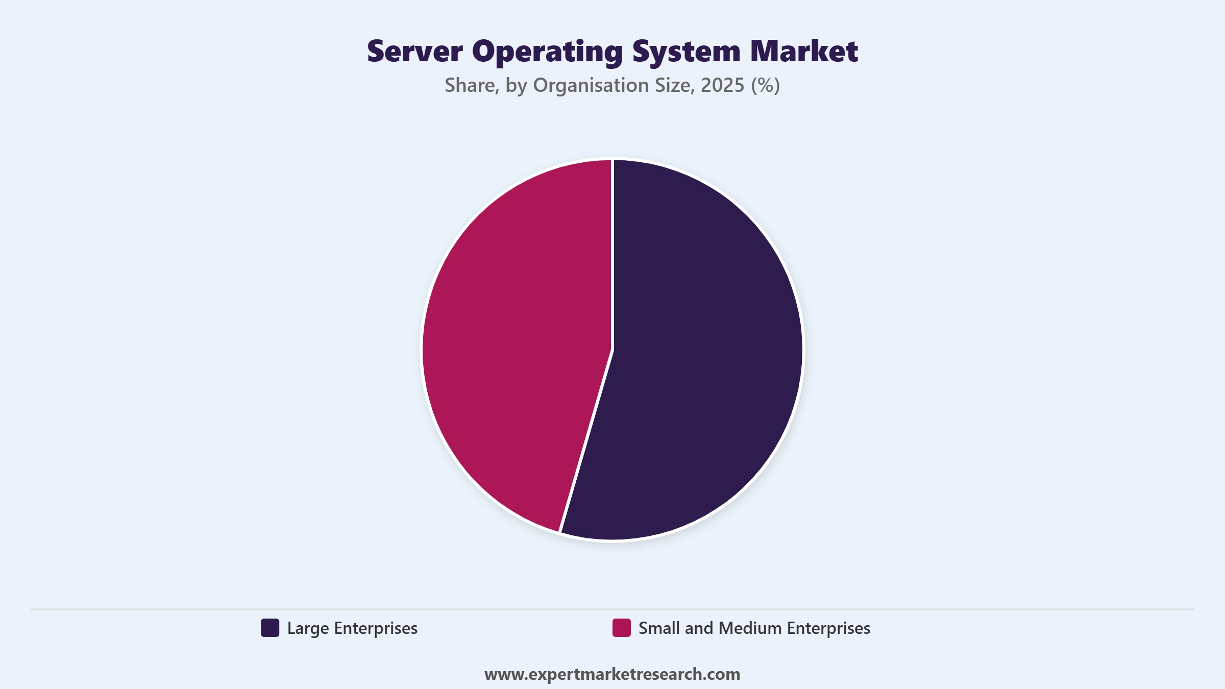 Server Operating System Market Segment Organisation Size