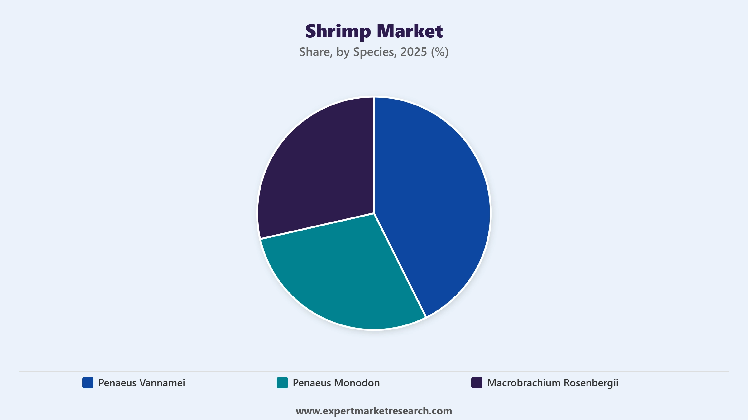 Shrimp Market Segment Species