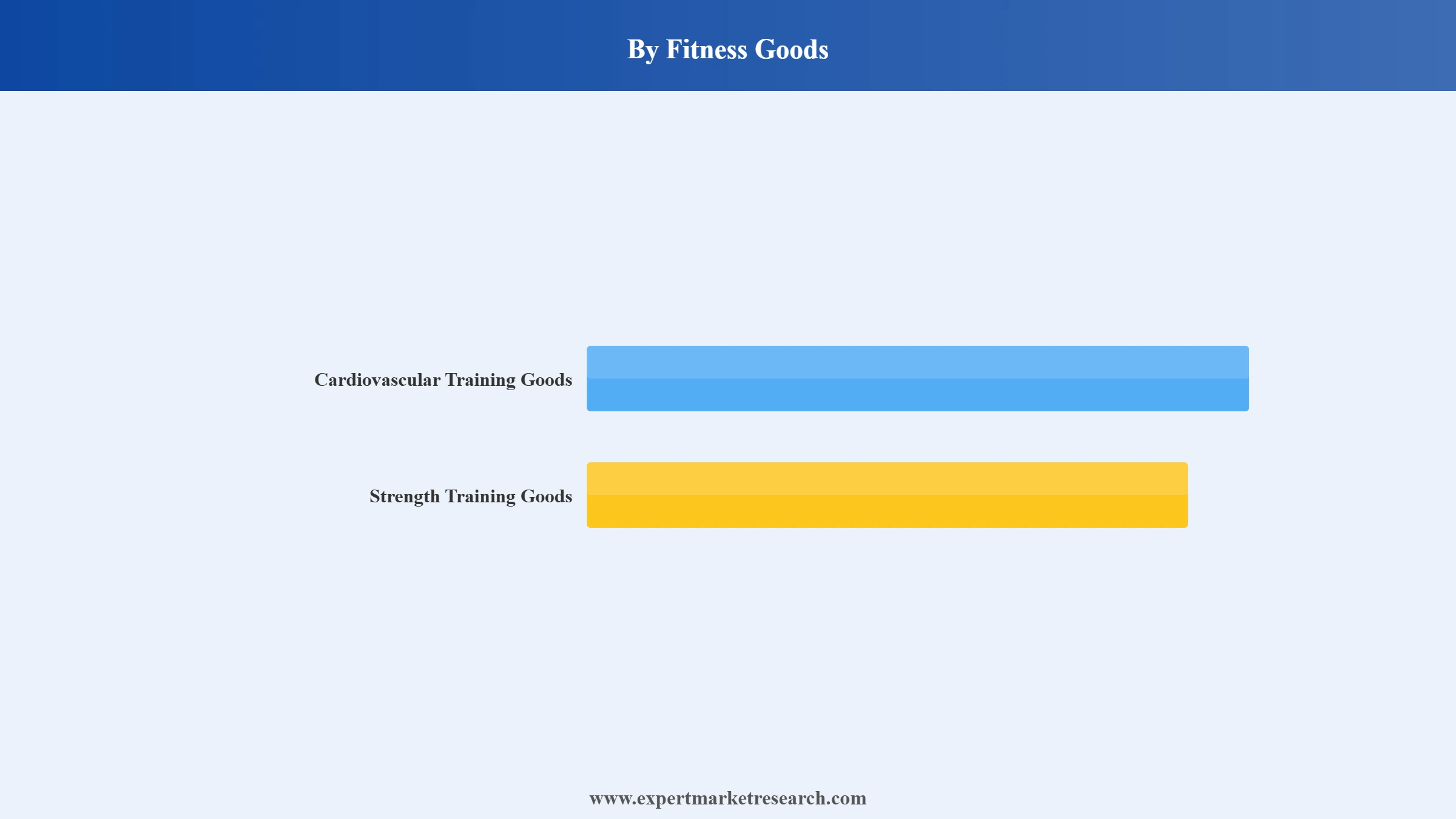 Singapore Sports and Fitness Goods Market Segment Fitness Goods