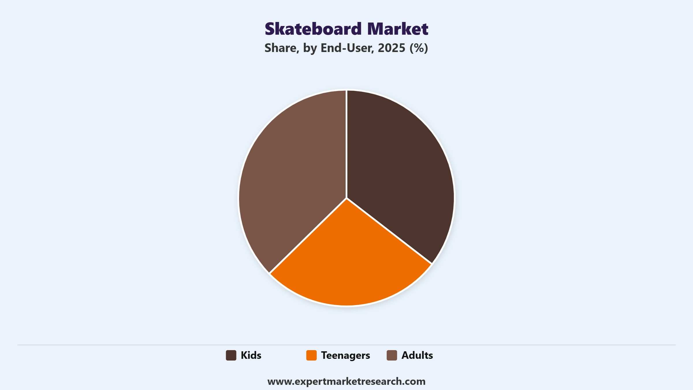 Skateboard Market Segment End User