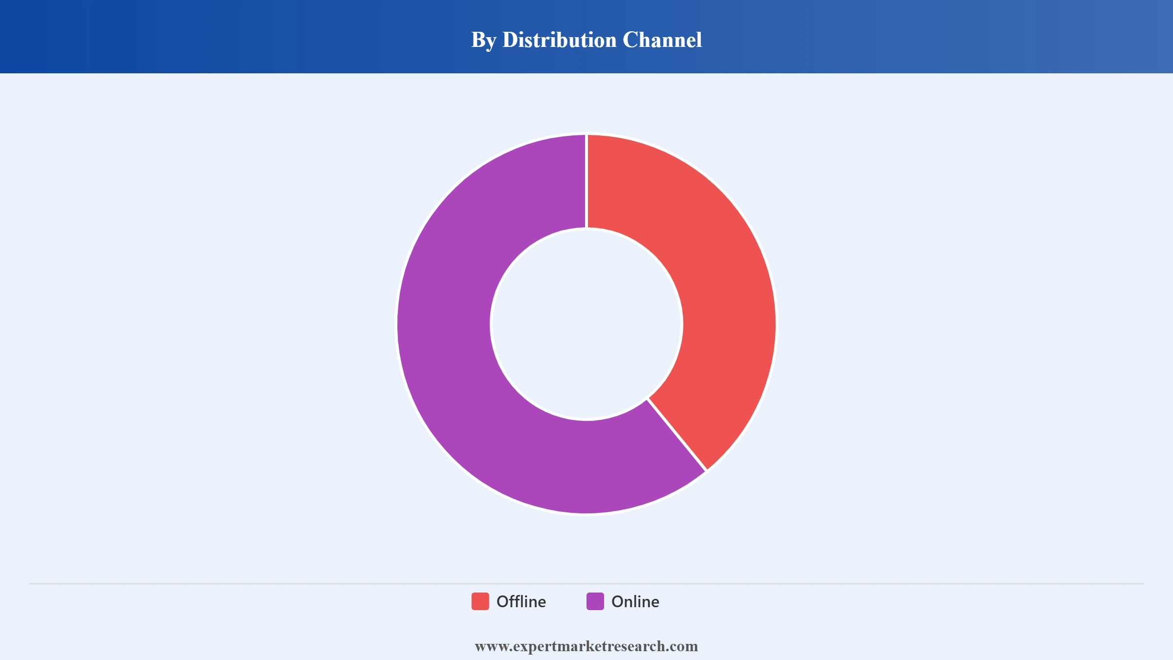 Ski Market Segment By Distribution Channel