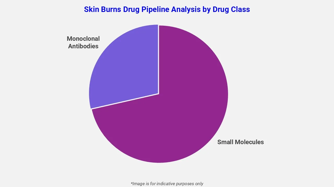 Skin Burns Drug Pipeline Analysis By Drug Class