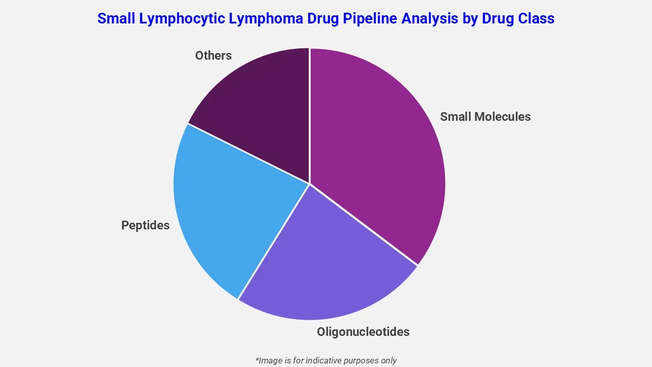 Small Lymphocytic Lymphoma Drug Pipeline Analysis By Drug Class