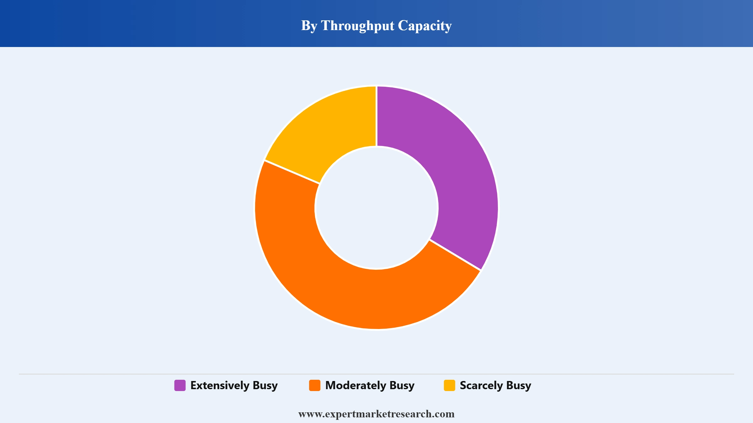 Smart Ports Market Segment Throughput Capacity