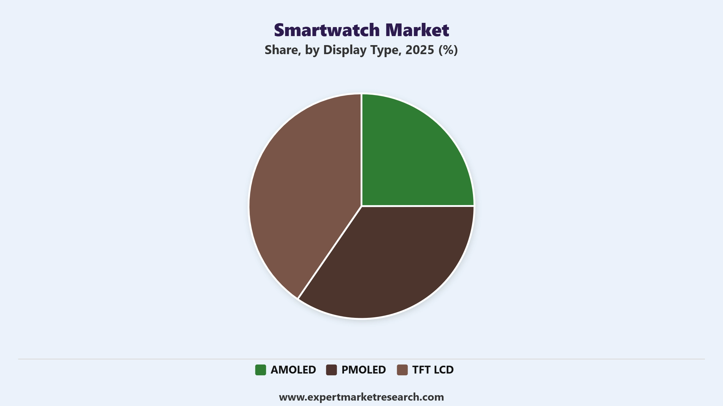Smartwatch Market Segment Display Type