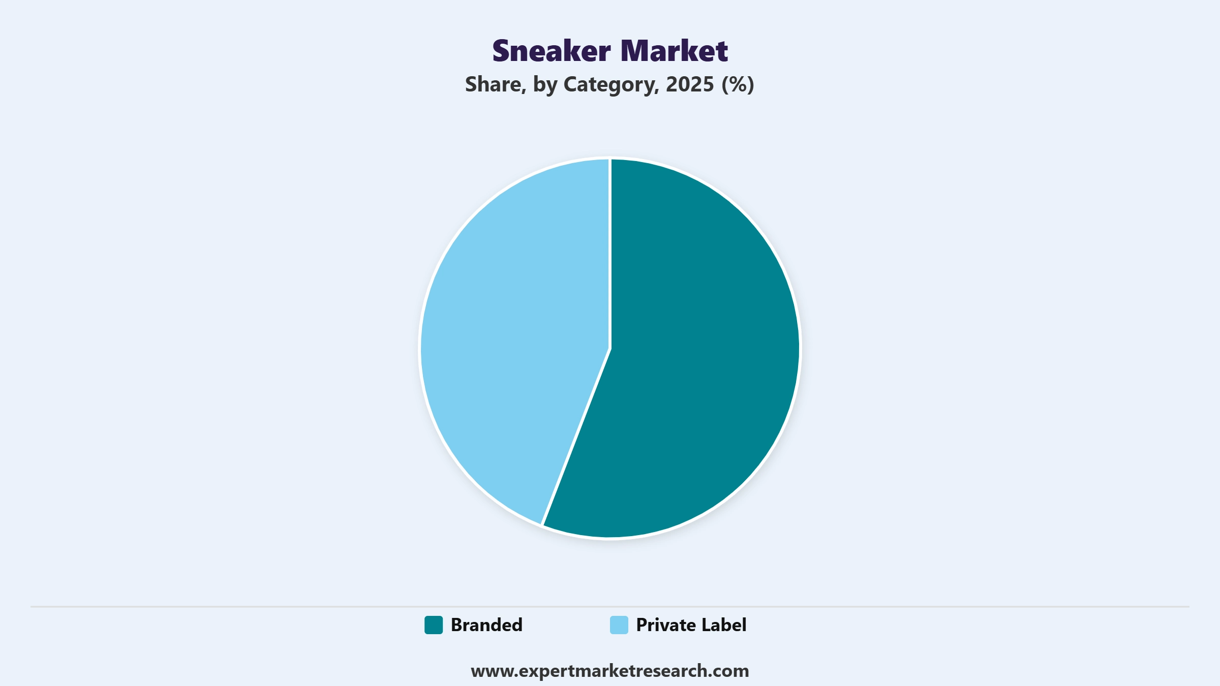 Sneaker Market Segment Category