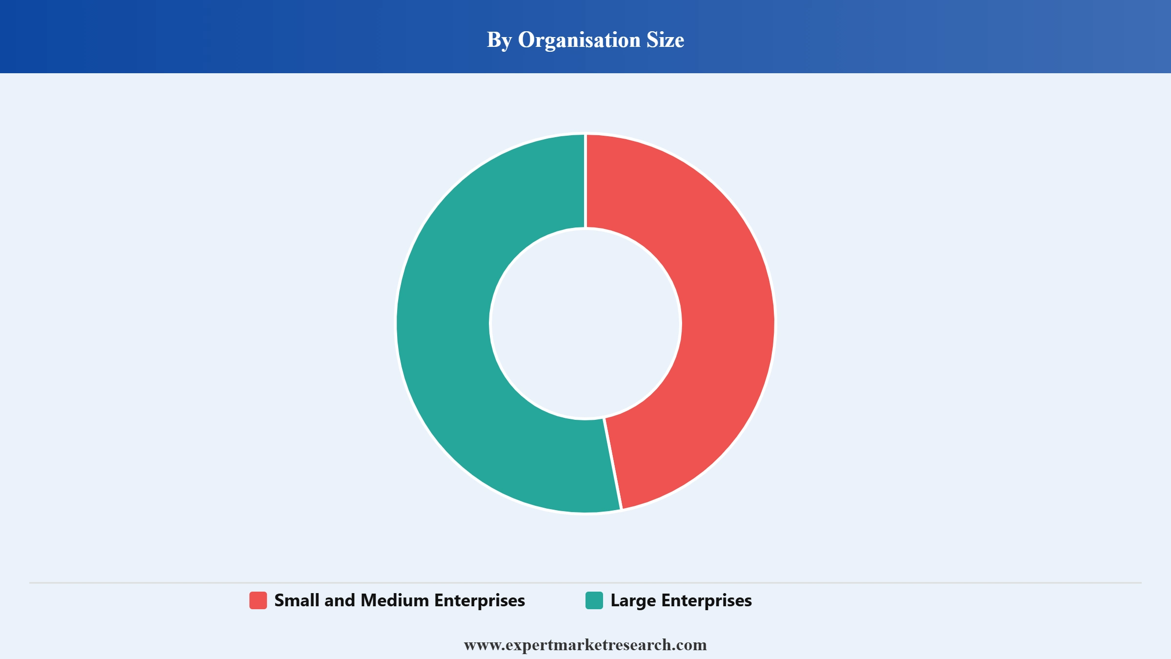 Software Market Segment Organisation Size