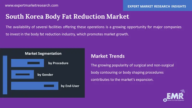 south korea body fat reduction market by segments