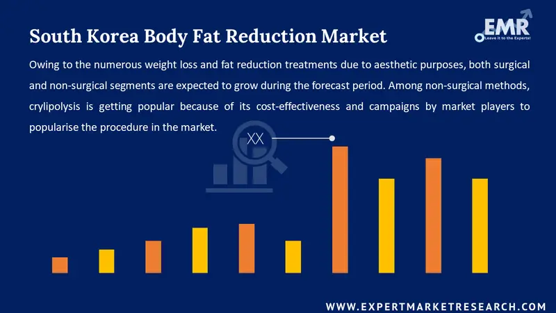 south korea body fat reduction market