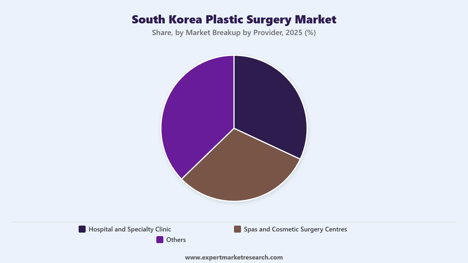 South Korea Plastic Surgery Market Segment Market Breakup By Provider