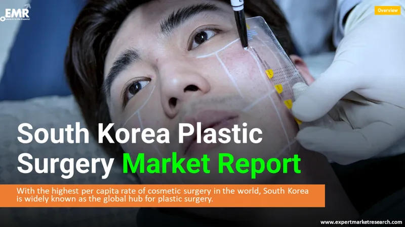 south korea plastic surgery market