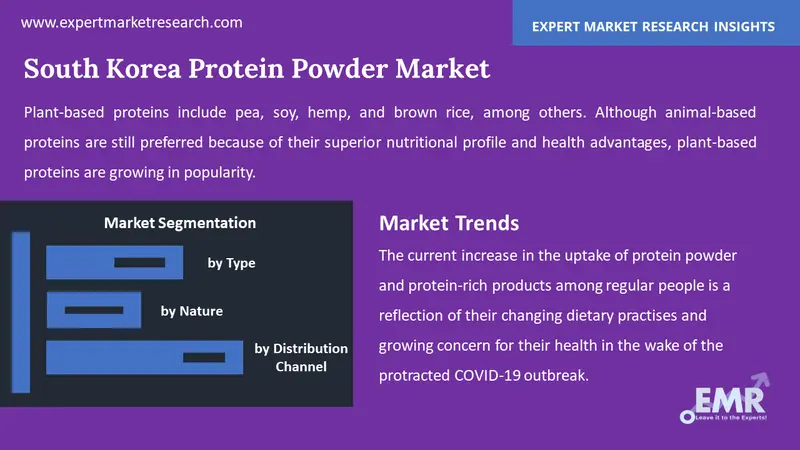 south korea protein powder market by segments