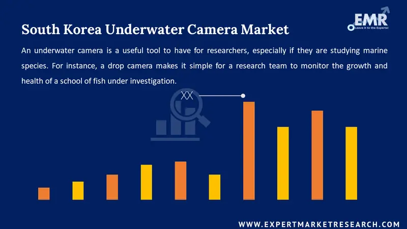 south korea underwater camera market