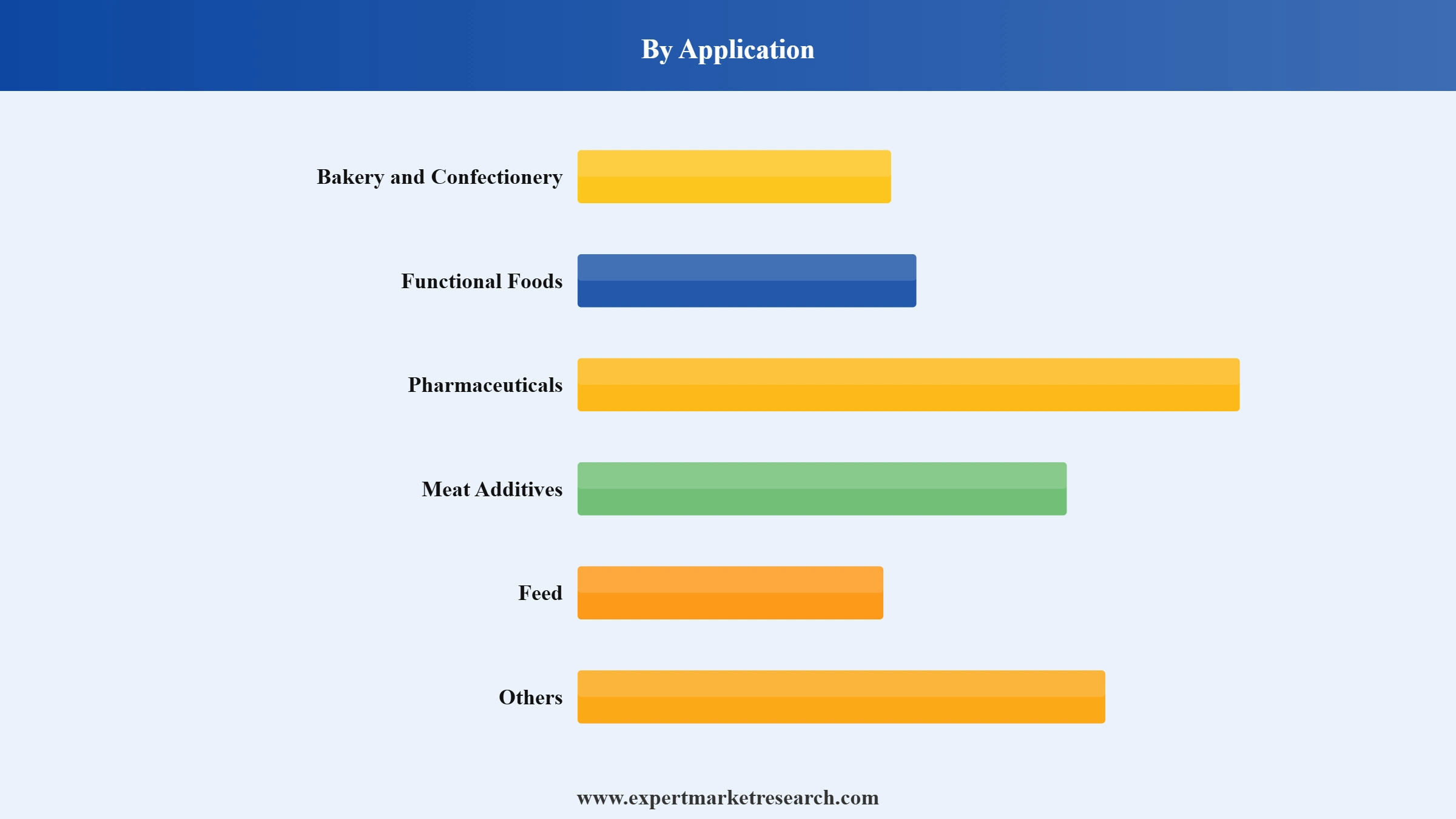 Soy Protein Market Segment Application