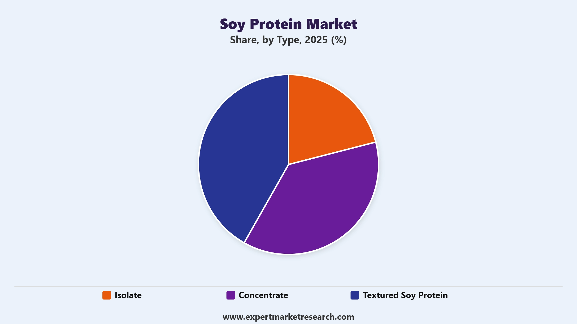 Soy Protein Market Segment Type
