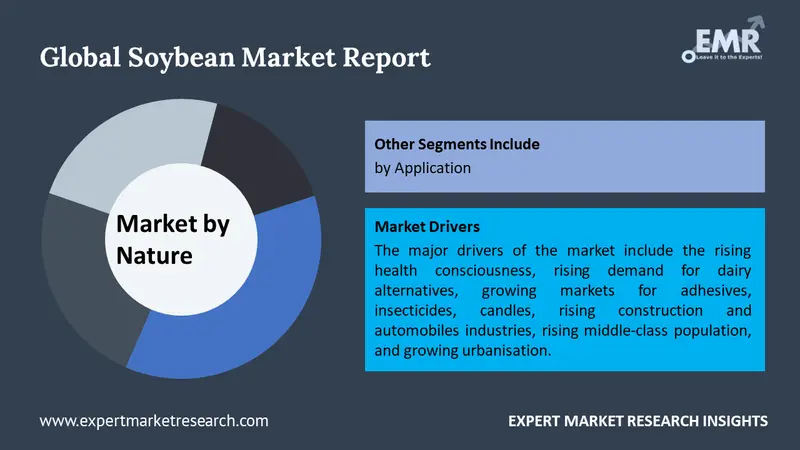 Soybean Market Size, Share Growth, Trends 2024-2032